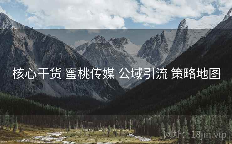核心干货 蜜桃传媒 公域引流 策略地图