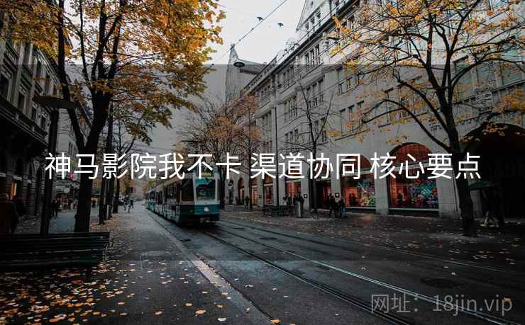 神马影院我不卡 渠道协同 核心要点 神马影院我不卡 渠道协同 核心要点
